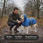 Man clipping a lead onto a Labrador in the Blue dog raincoat on a wet park path
