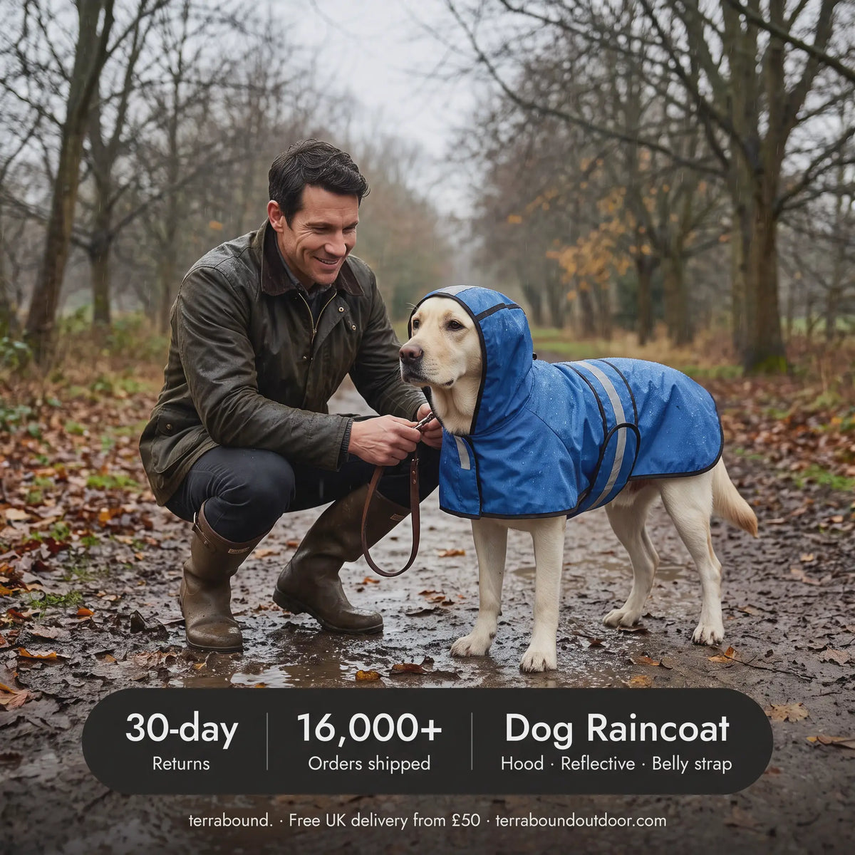 Man clipping a lead onto a Labrador in the Blue dog raincoat on a wet park path