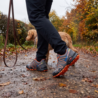 Trail shoe on a park path, dog walk