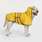 Hooded dog raincoat in Yellow on a Labrador, side view