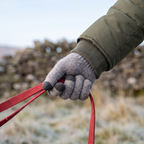 Ribbed glove cuff tucked under a jacket sleeve while holding a dog lead