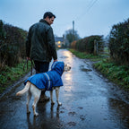 Man walking a Labrador in the Blue hooded dog raincoat down a wet country lane at dusk