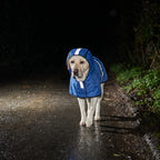 Reflective strips on the dog raincoat lit up by a torch on a dark lane