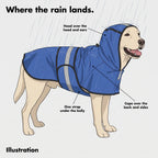 Illustration of where the rain lands on the hooded dog raincoat: hood, cape and belly strap
