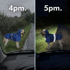 Dog raincoat seen from a car at 4pm and at 5pm, reflective strips lit by the headlights