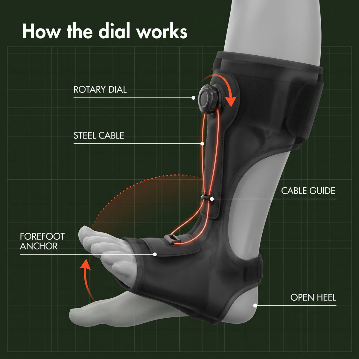 Technical view of the night splint showing the rotary dial, steel cable, cable guide and forefoot anchor