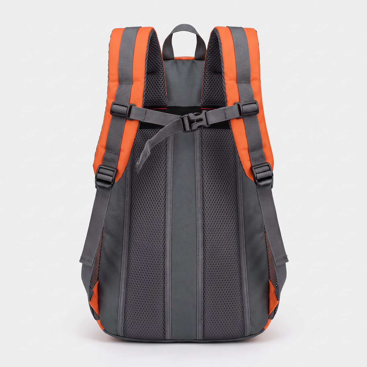 Back of the Terrabound 40L hiking rucksack showing padded shoulder straps, chest strap and mesh back panel