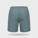 Men's striped swim shorts - back view