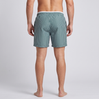 Men's striped swim shorts - worn back view