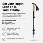 Trekking poles infographic with lever locks, cork grip and 65 to 135 cm range