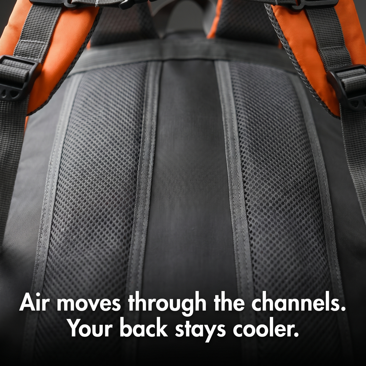 Close-up of the padded mesh back panel and air channels on the Terrabound 30L hiking rucksack