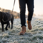 Men's winter walking boots on a frosty field dog walk at sunrise